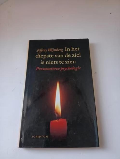 In het diepste van de ziel is niets te zien Jeffrey Wijnberg, Boeken, Psychologie, Zo goed als nieuw, Ophalen of Verzenden