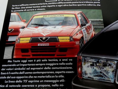 Alfa Romeo Alfaday brochure folder TZ 75 IMSA 1900 Giulietta, Boeken, Auto's | Folders en Tijdschriften, Zo goed als nieuw, Alfa Romeo