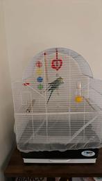 Twee vrolijke grasparkieten met kooi – €40 (compleet setje!), Dieren en Toebehoren, Vogels | Hokken en Kooien, Ophalen of Verzenden