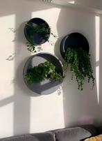 Set van 3 ronde wand/bloempotten - Betonlook, Tuin en Terras, Bloembakken en Plantenbakken, Ophalen, Kunststof, Minder dan 30 cm