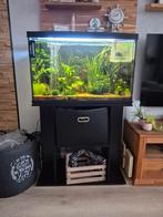 Superfish aquarium met meubel, 2 jaar oud, Dieren en Toebehoren, Vissen | Aquaria en Toebehoren, Ophalen, Gebruikt, Leeg aquarium