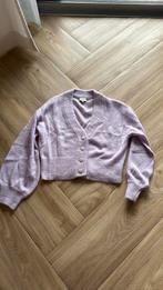 Dante 6 vest maat S als nieuw!!!, Kleding | Dames, Truien en Vesten, Ophalen of Verzenden, Zo goed als nieuw, Maat 38/40 (M)