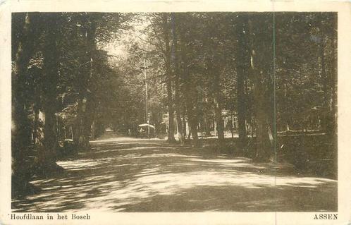 (381-008-021) Assen Hoofdlaan in het Bosch, Verzamelen, Ansichtkaarten | Nederland, Drenthe, Verzenden