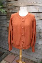 Vest bruin Caroline biss mt 42 Vaste prijs, Kleding | Dames, Truien en Vesten, Bruin, Maat 42/44 (L), Ophalen of Verzenden, Zo goed als nieuw