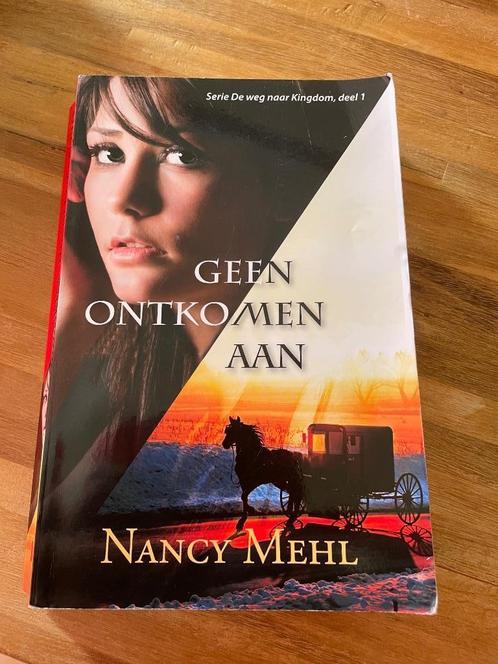 Geen ontkomen aan. Nancy Mehl, Boeken, Romans, Gelezen, Amerika, Ophalen of Verzenden