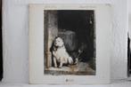 LP Pavlov's Dog – Pampered Menial - US 1975, Ophalen of Verzenden, Gebruikt, 12 inch, Poprock