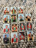 Fc den haag panini vanderhout 1971-1972, Verzamelen, Ophalen of Verzenden, Gebruikt, Poster, Plaatje of Sticker