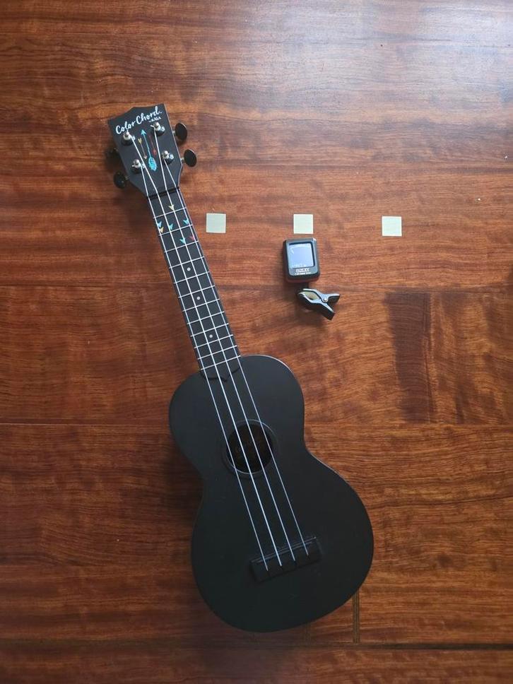 Kala Ukelele Beginnersset + Standaard & Stemapparaat, Muziek en Instrumenten, Snaarinstrumenten | Overige, Gebruikt, Ukelele, Ophalen of Verzenden