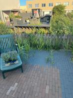 Tuin onderhoud