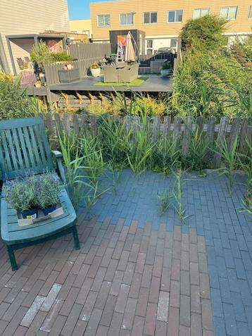 Tuin onderhoud beschikbaar voor biedingen
