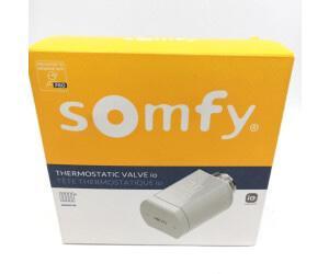 Somfy thermostaat kraan, Huis en Inrichting, Woonaccessoires | Thermometers, Zo goed als nieuw, Binnenthermometer, Ophalen of Verzenden