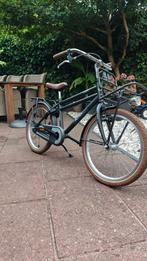 Alpina Cargo. Zeer nette staat., Ophalen, Zo goed als nieuw, 20 inch