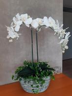 Orchidee, Ophalen, Zo goed als nieuw
