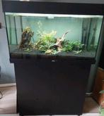 Juwel rio 125 + onderkast + pomp, Dieren en Toebehoren, Vissen | Aquaria en Toebehoren, Ophalen, Leeg aquarium