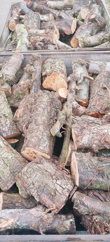 Diverse soorten haardhout, ophalen/bezorgen beschikbaar voor biedingen