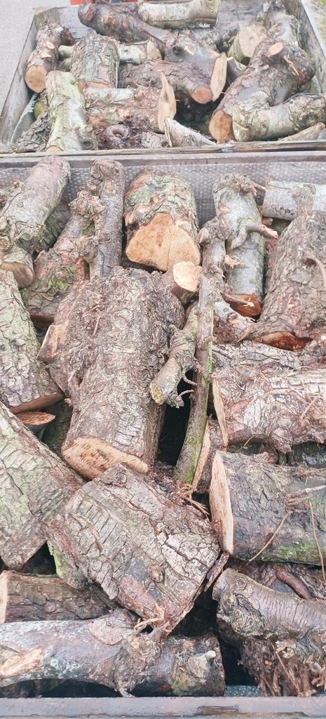 Diverse soorten haardhout, ophalen/bezorgen, Tuin en Terras, Haardhout, Blokken, Overige houtsoorten, 6 m³ of meer, Ophalen of Verzenden