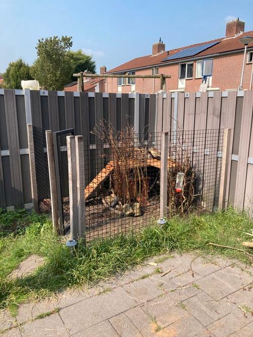 Konijnen of kippen ren groot, Dieren en Toebehoren, Knaagdieren en Konijnen | Hokken en Kooien, Zo goed als nieuw, Ren, 90 cm of meer