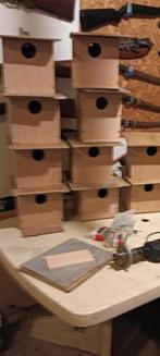 zelf gemaakte parkieten blokken waar ze in nestelen broeden, Ophalen of Verzenden, Kooi-accessoires