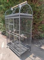 Papegaai kooi galah, Ophalen, Nieuw, Metaal, Vogelkooi
