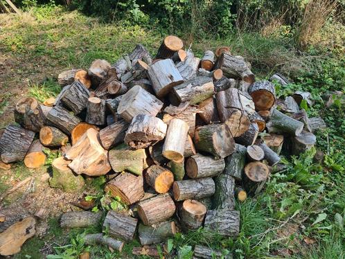Droog openhaardhout kachelhout, Tuin en Terras, Haardhout, Blokken, 6 m³ of meer, Ophalen