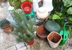 Tuin of balkon potten aardewerk en plastic, paar planten, Tuin en Terras, Planten | Tuinplanten, Ophalen, Zomer, Overige soorten