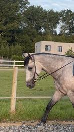 Micklem hoofdstel bruin original cob, Dieren en Toebehoren, Ophalen of Verzenden, Zo goed als nieuw, Dressuur