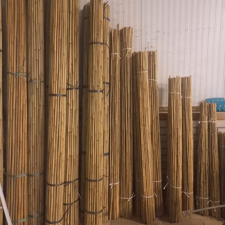 Bamboestokken/bonenstaken/tonkinstokken, Tuin en Terras, Palen, Balken en Planken, Nieuw, Palen, 250 cm of meer, Ophalen