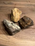 3 stenen versteend hout, Ophalen of Verzenden, Gebruikt, Plant(en), Steen of Hout