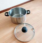 Big induction pot, Ophalen of Verzenden, Zo goed als nieuw, Rvs