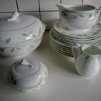 6 persoons engels royal canterbury royal flower servies, Ophalen