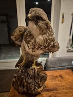 Opgezette buizerd, Dieren en Toebehoren