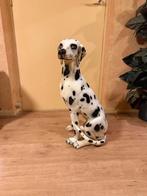 Prachtige porseleinen Dalmatiër hond – 70 cm hoog, Verzamelen, Beelden en Beeldjes, Ophalen, Zo goed als nieuw, Dier