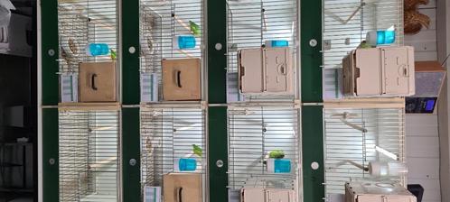 Heesakkers kweekkooien, Dieren en Toebehoren, Vogels | Hokken en Kooien, Zo goed als nieuw, Broedkooi of Kweekkooi, Kunststof