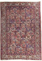 Perzisch tapijt Baktihari 300x220 wollen vloerkleed