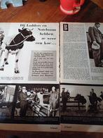 Artikel over Lodders Noteboom koeien Klundert 1953, Ophalen of Verzenden, 1940 tot 1960, Knipsel(s)