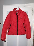 Winterjas Superdry, Kleding | Dames, Jassen | Winter, Superdry, Maat 42/44 (L), Ophalen of Verzenden, Zo goed als nieuw
