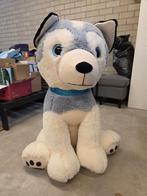Husky Knuffel XXL, Ophalen of Verzenden, Zo goed als nieuw, Overige typen