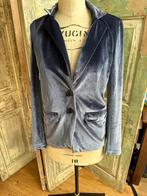 Paarse gevoerde fluwelen blazer v Patrizia Pepe mt 36, Kleding | Dames, Jasjes, Kostuums en Pakken, Ophalen of Verzenden