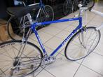 Pinarello treviso campagnolo, Fietsen en Brommers, Fietsen | Racefietsen, 28 inch, Gebruikt, Staal, 15 tot 20 versnellingen