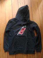Hoodie Carolina Hurricanes, Ophalen of Verzenden, Gedragen