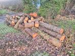 Brandhout te koop - Stammen, Minder dan 3 m³, Ophalen, Overige houtsoorten, Stammen