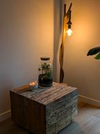 Terrarium Ecosysteem - Miniatuur Tuin in Glas, Huis en Inrichting, Overige soorten, In pot, Minder dan 100 cm, Groene kamerplant