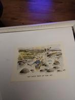 BESLEY/  NOT MUCH SIGN OF FISH YET...., Ophalen of Verzenden, Sterren en Beroemdheden