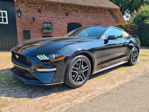 Ford mustang nieuwste model full option nieuwstaat!! NL kent, Auto's, Ford, Bedrijf, Mustang, ABS, Achteruitrijcamera, Adaptieve lichten