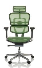 NEW ERGOHUMAN Ergonomische Bureaustoel EHE2 HAM GROEN Mesh !, Huis en Inrichting, Bureaustoelen, Nieuw, Ophalen of Verzenden, Bureaustoel
