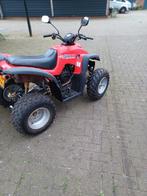 Quad met kenteken, Motoren, Quads en Trikes, 200 cc