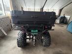 TGB Quad Blade 425 4x4 uit 2008 425ccmet lier en kenteken, Autobedrijf Neplenbroek, Goorseweg 33
7478BB  DIEPENHEIM, NL, Overig