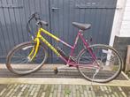 Vintage Mountainbike - Raleigh, Gebruikt, 49 tot 53 cm, Geen vering, Ophalen