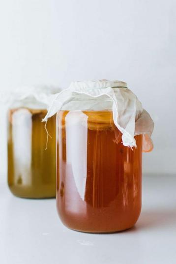Scoby, Brouw je eigen kombucha voor maar €5! beschikbaar voor biedingen