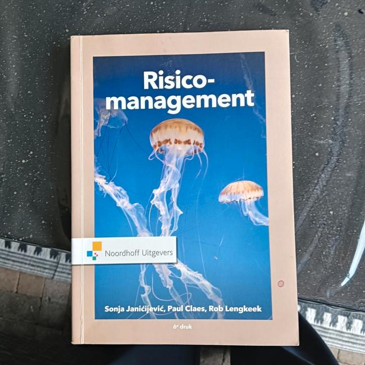 Paul Claes - Risicomanagement, Boeken, Studieboeken en Cursussen, Zo goed als nieuw, HBO, Ophalen of Verzenden